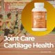 Chondroitin 1200 with Shark Cartilage 200 capsules