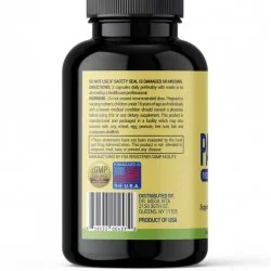 Saw Palmetto